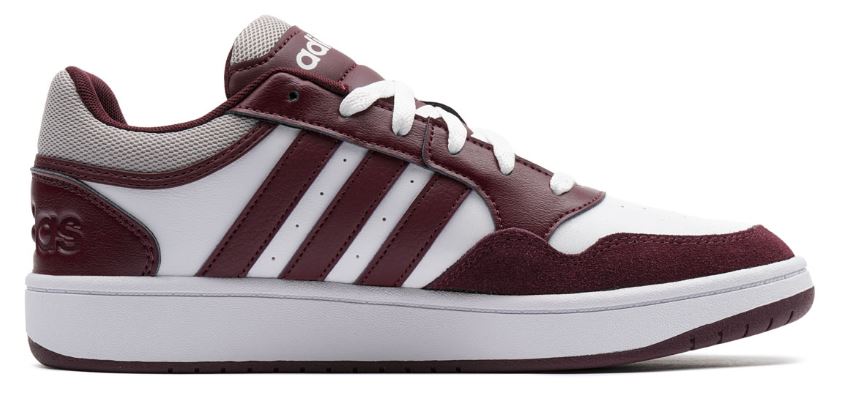 HOOPS 3.0 BORDEAUX
